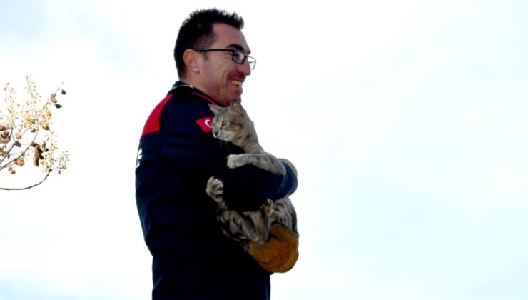 Zonguldak’ta korkmuş kedi, kendisini kurtaran itfaiyeciyi bırakmadı