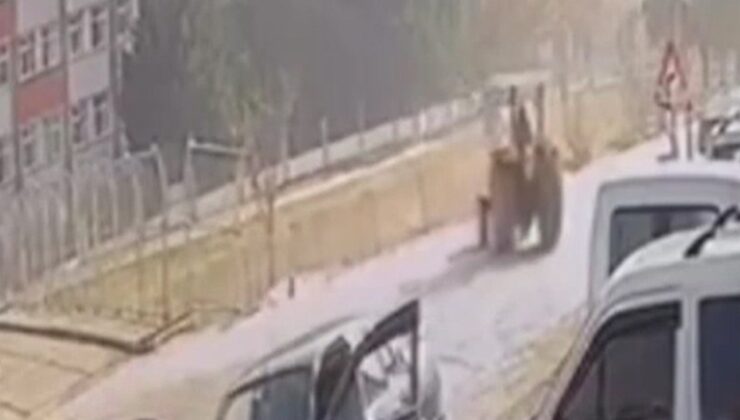 Ankara’da kontrolden çıkan traktör çaya uçtu: 1 yaralı