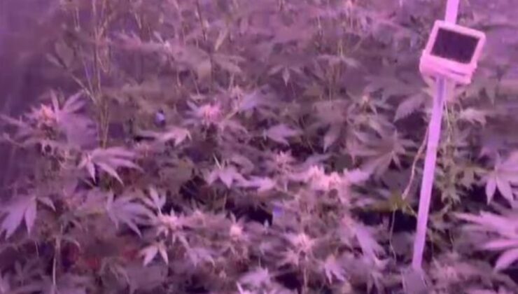 Balıkesir’de uyuşturucu imalathanesine baskın: 1 gözaltı