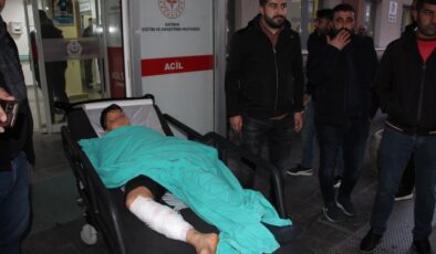 Batman’da 12 yaşındaki çocuk başıboş köpeklerin saldırısına uğradı