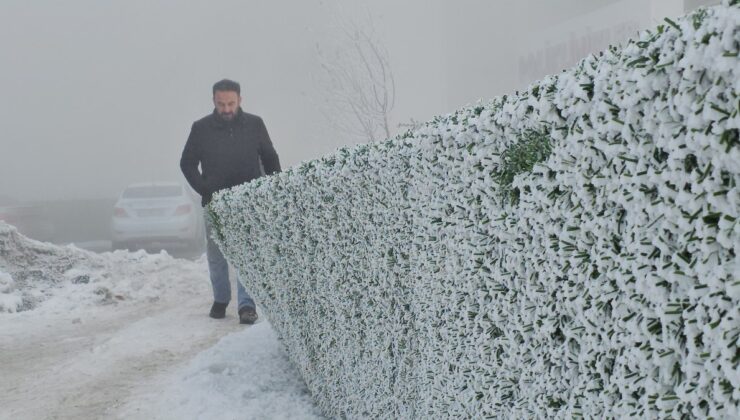 Bitlis’te dondurucu soğuk: Ağaçlar kırağıyla kaplandı