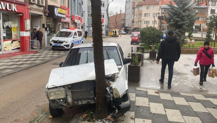 Bolu’da yola çıkan köpeğe çarpmamak için ani manevra yapan sürücü kaza yaptı