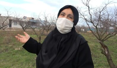 Bursa’da babasından kalan tapulu arsaya emlakçı gizlice ev yapıp sattı