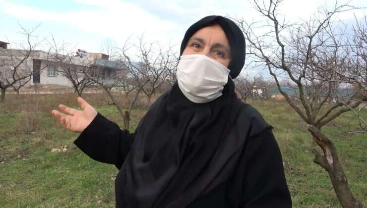 Bursa’da babasından kalan tapulu arsaya emlakçı gizlice ev yapıp sattı