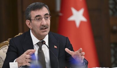 Cevdet Yılmaz: Dezenflasyon bu yıl da sürecek