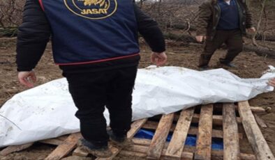 Çorum’da ‘traktörüm çalındı’ dedi: Gerçek kısa sürede ortaya çıktı