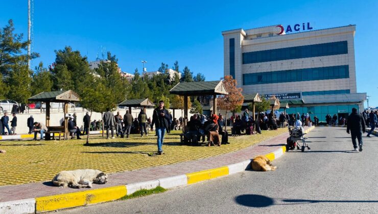 Diyarbakır’da köpek saldırısına uğrayan çocuk yaralandı