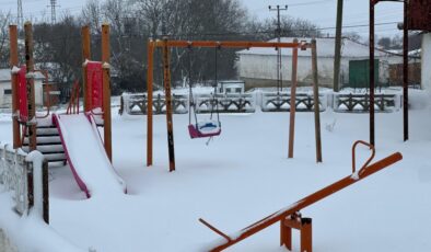 Edirne ve Kırklareli’nin yüksek kesimlerinde kar yağışı