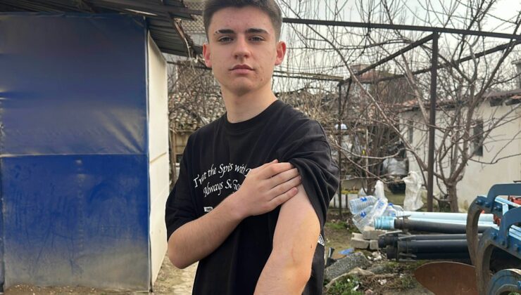 Edirne’de okul yolunda köpek saldırısı