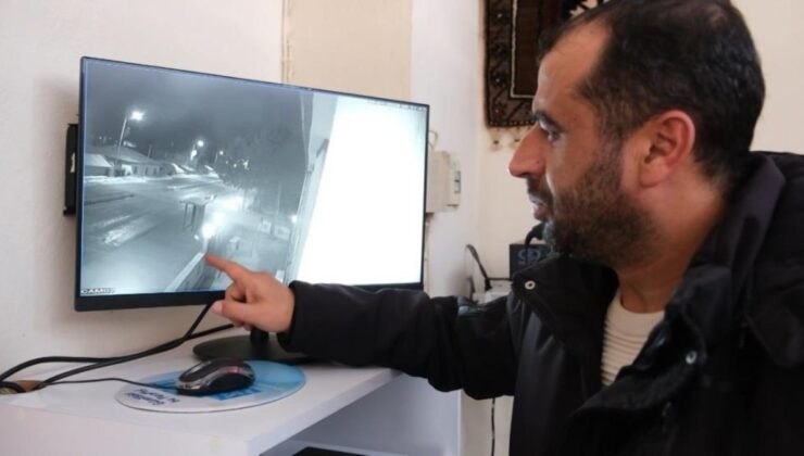 Erzincan’da müezzin, mahalleye inen kurtlardan son anda kurtuldu