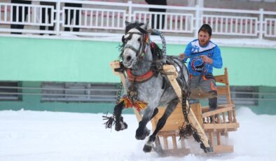 Erzurum’da, geleneksel atlı kızak şöleni 26 kulübün katılamıyla düzenlendi