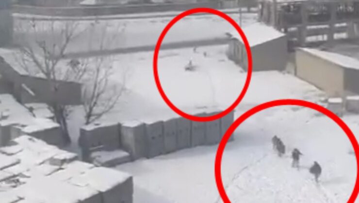 Hakkari’de sokak köpeklerinin öğrencilere saldırısı kamerada