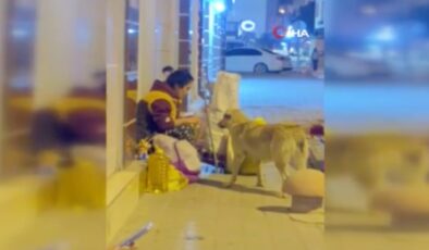 Hatay’da bir kadın yemeğini sokak köpeğiyle paylaştı