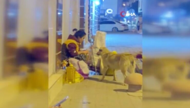 Hatay’da bir kadın yemeğini sokak köpeğiyle paylaştı