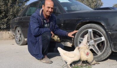Hatay’da hem araba hem de tavuk satıyor