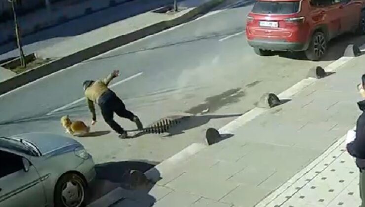 İstanbul’da kaçan köpeğini yakalamak isterken ölümden döndü