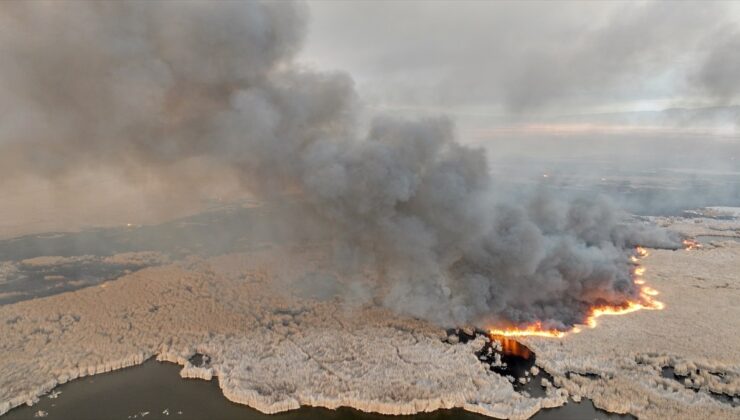 Kayseri’deki Sultan Sazlığı Milli Parkı’nda yangın