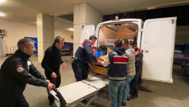 Kocaeli’de ormanlık alanda korkunç cinayet: Dili ve kulakları kesildi