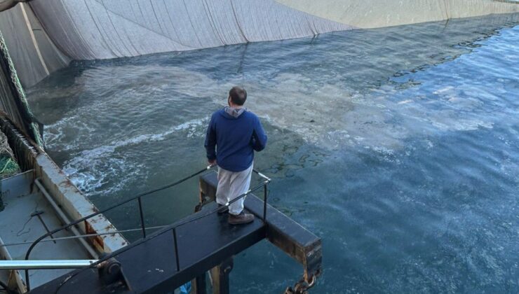 Marmara Denizi’nde ağlara balık yerine müsilaj takıldı