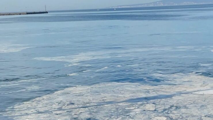 Marmara’da müsilaj geri döndü: Mudanya’da balıkçıların ağları zarar görüyor