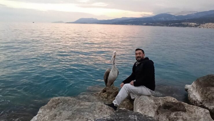 Mersin’de dolaşan pelikan insanların maskotu oldu