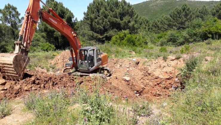 Muğla’da 19 yıl önce kaybolan genç kızın ormana gömüldüğü ortaya çıktı