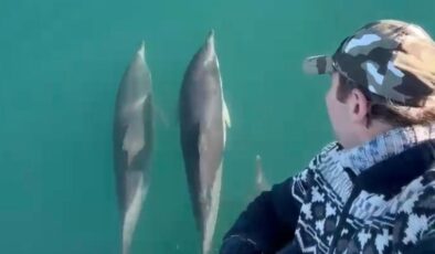 Rize’deki balıkçının denizdeki yoldaşları: Yunuslar