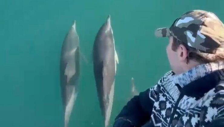 Rize’deki balıkçının denizdeki yoldaşları: Yunuslar