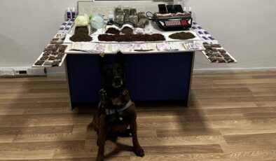 Sinop’ta uyuşturucu operasyonunda 3 kişi tutuklandı