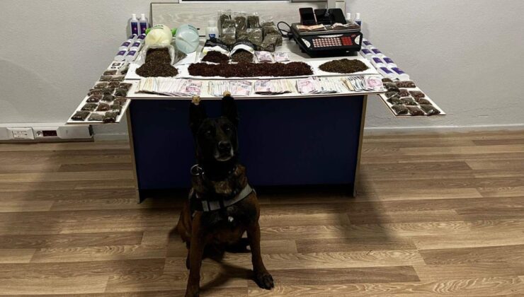 Sinop’ta uyuşturucu operasyonunda 3 kişi tutuklandı