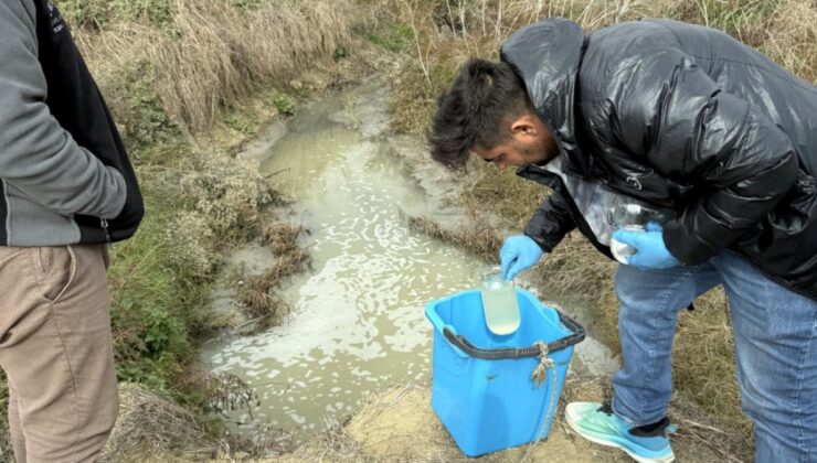 Tekirdağ’da çevreyi kirleten tesislere ceza yağdı