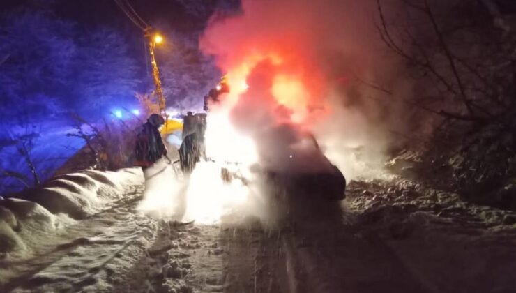 Artvin’de seyir halindeki kamyonda yangın