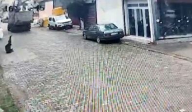 Aydın’da kamyonetin elektrik telini kopartması sonucu akıma kapıldı