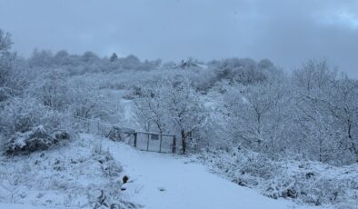 Bartın’da kar yağışı sürüyor