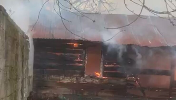 Bolu’da iki barakada yangın