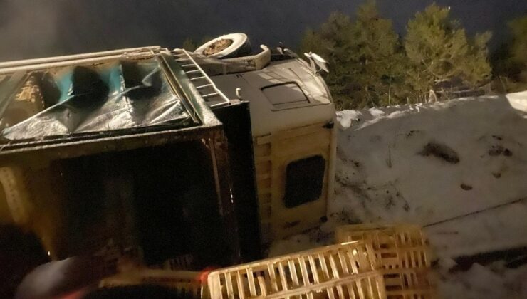 Bolu’da kamyon devrildi: Yüzlerce tavuk telef oldu