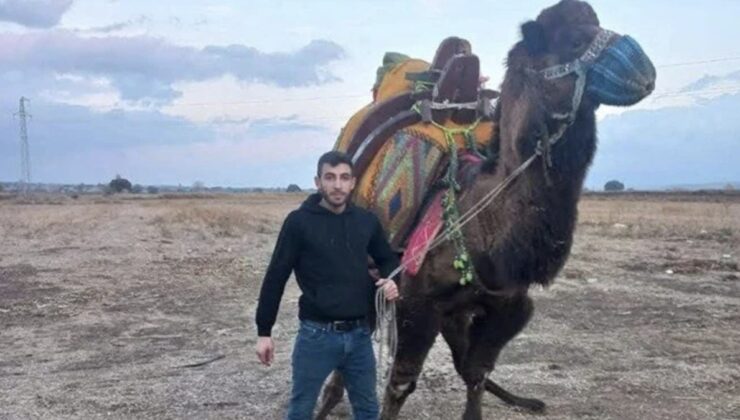 Çanakkale’de deve satışında kan aktı: 1 ölü