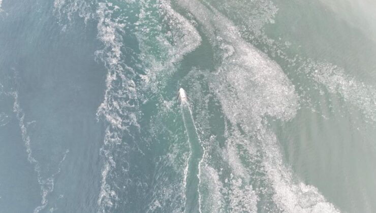 Çanakkaleli balıkçılara müsilaj engeli