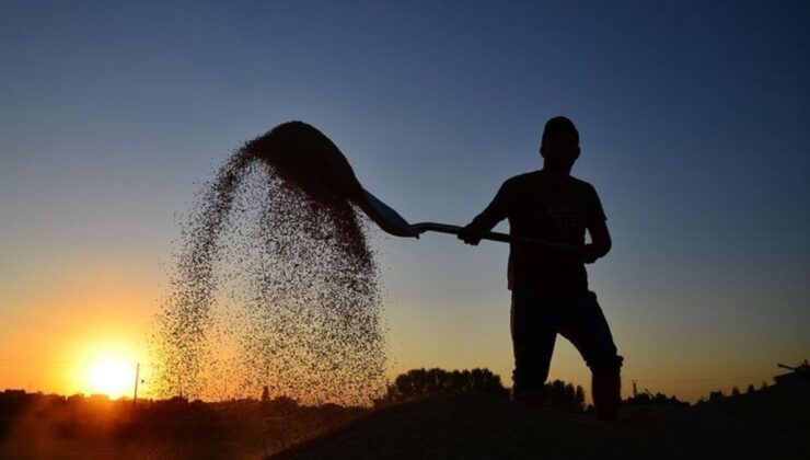 Çiftçilere 2,2 milyar lira tarımsal destek ödenecek