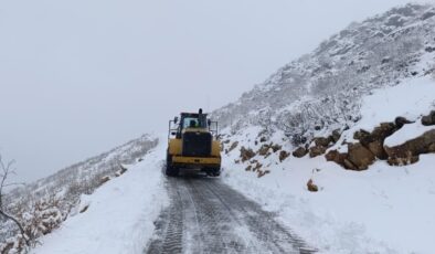 Diyarbakır’da karla kapanan yollar ulaşıma açıldı