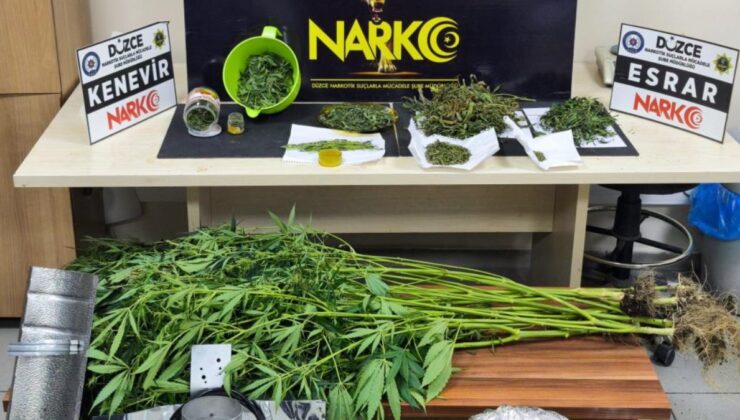 Düzce’de evde uyuşturucu serası bulundu