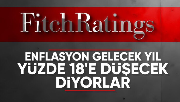 Fitch Ratings direktöründen Türkiye değerlendirmesi: Enflasyon daha da düşecek