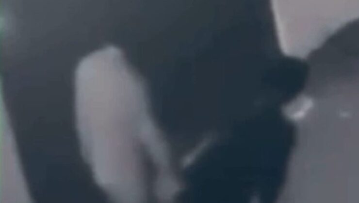 İstanbul’da bir şüpheli, iş yerinin kapısında asılı olan Türk bayrağını yaktı