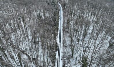 İstanbul’da kar: Belgrad Ormanı havadan görüntülendi