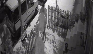 İstanbul’da kardan gelini çaldılar