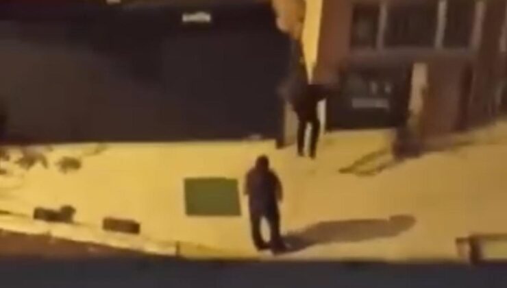 İstanbul’da oyuncak ayı hırsızından ilginç savunma: Beğendim aldım