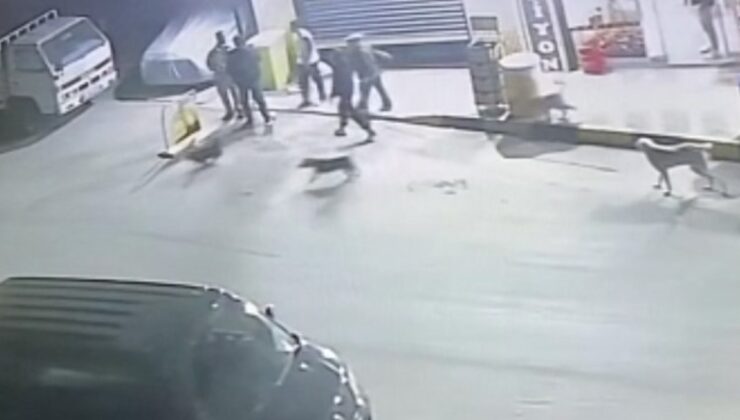 İzmir’de köpeklerden kaçıp iş yerine sığınan kişi ve 2 yakınını bıçaklayan iki zanlı tutuklandı