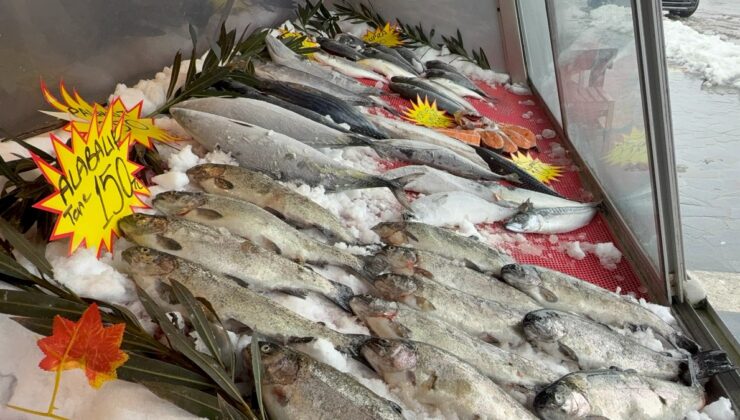 Karadeniz’de tezgahlar hamsisiz kaldı