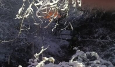 Kocaeli’de jandarma aracı uçurumdan yuvarlandı: 2 yaralı