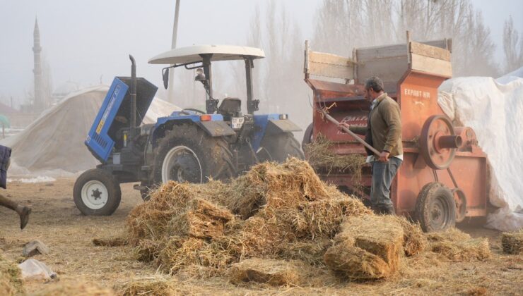 Muş’ta kış ortasında patoz mesaisi